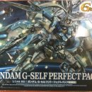 셀프 팩 self pack