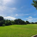 백마스크린실내골프연습장 이미지