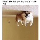 클리셰