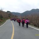 행열 농장 Daum카페