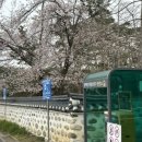 허균생가터
주차장 이미지