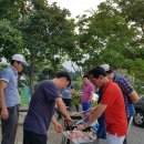 소원초등학교 이미지