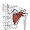 준피티샵 이미지