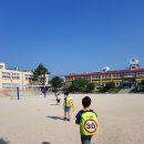 동포초등학교 이미지