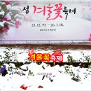 동백 - 여수시 봉강2길 2-2 | 동백
