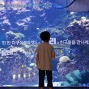 코스데이즈 이미지