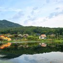 완주군 반려동물 놀이터 이미지