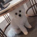 보듬보듬 이미지