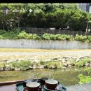 오늘 올러의 대전 카페 픽은 이미지