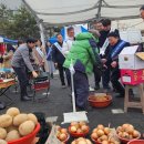 설악눈메골시장 이미지