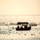 배가한방병원 이미지