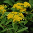 기린초등학교 이미지