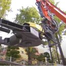 은행나무 경로당 이미지