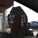 탐나는바지락손칼국수