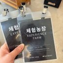 설성새농장 | [충북 진천]뤁스퀘어 '이모농장' 스마트팜 체험! 7살 아이와 함께한 특별한 하루