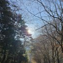 방화동가족휴가촌 가족휴양동 이미지