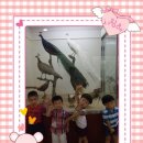 경성대학교 박물관 이미지