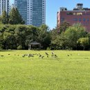 유성온천대온탕 이미지