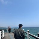 장군숯불구이 | 포항&amp;경주 1박2일 여행 마무리 : 연일개미집 / 카페 조르바 / 장군암소숯불 소고기구이집