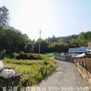 곡성-102 Daum카페