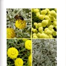 중성동113 이미지