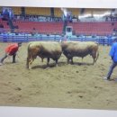 안심농장 이미지