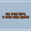 속리산 이미지