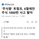 '주식왕' 트럼프, 6월에만 주식 1000번 사고 팔아 이미지