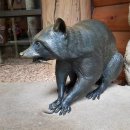 라쿤(Racoon) 이미지