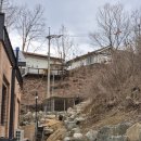 콜리네 | 강원도 횡성 보더콜리 울타리견사 확장이전 설치 실제 후기