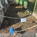 경기도 수원시 권선구 경수대로261번길 6-3 | ~26.01.11 일상글