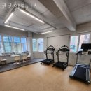 코코휘트니스 이미지