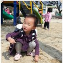 주상초등학교 이미지