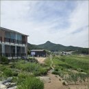 더노을 네이버블로그