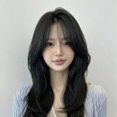 브이엘