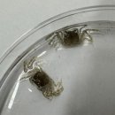 동남자원 이미지