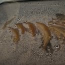 씨유 울산시청점 | 구구족 1인 달콤마늘 순살족발 메뉴 추천 후기