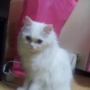 김성록동물병원 이미지