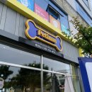 펫인어스 | 진주 충무공동 강아지용품샵 펫인어스 방문후기