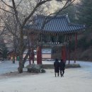 금당 경로당 | 의성 고운사 템플스테이 2/2, 천년 가람 마당을 서성입니다.