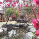 덕유산송계산장 이미지