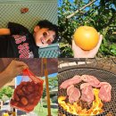 동일농원 | 파주헤이리농원 팜크닉 배따기체험&amp;밤줍기 예약방법 후기