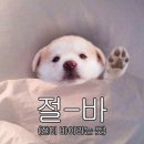 에스큐제약 | SQ제약 에스큐캡슐 프로바이오틱스 생유산균 후기