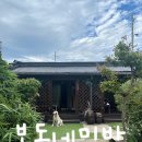 거기민박 | 강릉 주문진 숙소 복돌네민박 강아지 고양이랑 촌캉스 후기