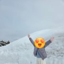 뇌머리식당 | 삿포로 5탄ㅣ비에이 흰그림자 투어 솔직 후기