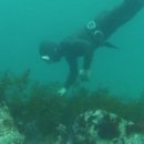 이야기가있는바다 이미지