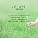 숲속의하루 이미지