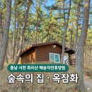 숲속의집 | 충남 서천 희리산 자연휴양림, 숲속의집 옥잠화 후기