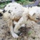 강화성산청소년수련원 이미지