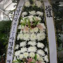 하나성심병원 이미지